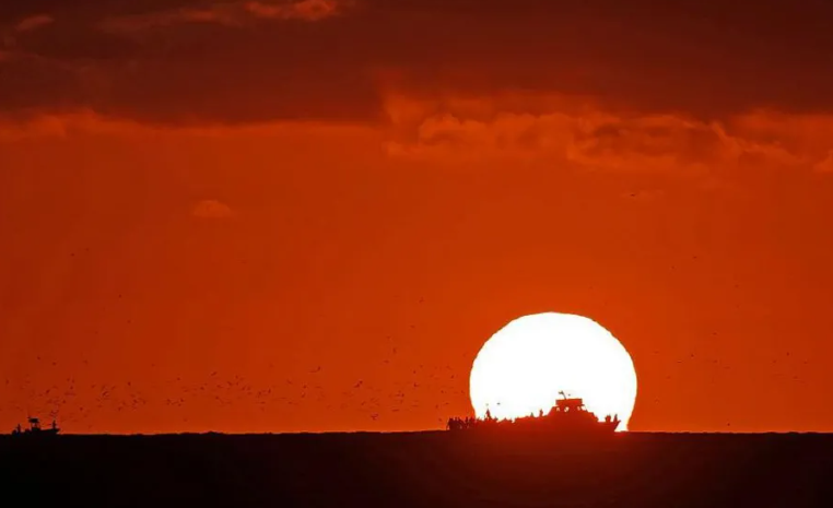 World's oceans hit highest temperature on record as El Niño grows